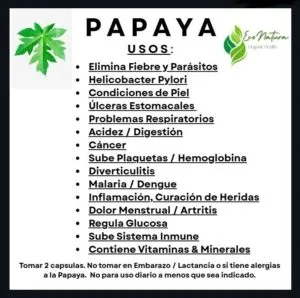 Cápsulas de papaya EcoNatura